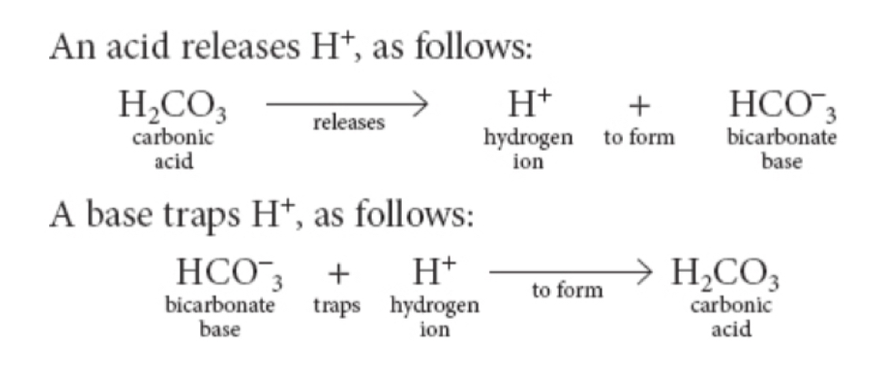 <ul><li><p>represents negative logarithm of H+ ion concentration</p></li><li><p>PH is inversely related to H+ ion concentration</p><ul><li><p>Low pH indictates high concentration of h+ ions</p></li><li><p>High pH indicates a low concentration of H+ ions</p></li></ul></li></ul><p></p>