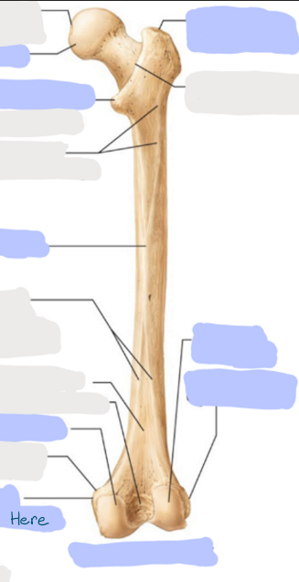 <p>What is here?</p>