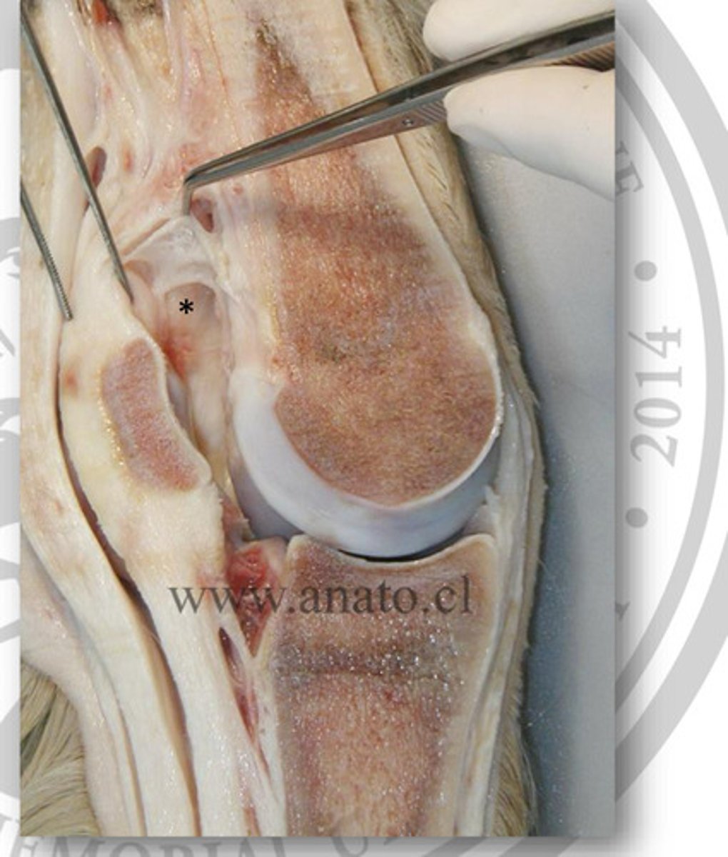 <p>What is starred in this picture?</p>