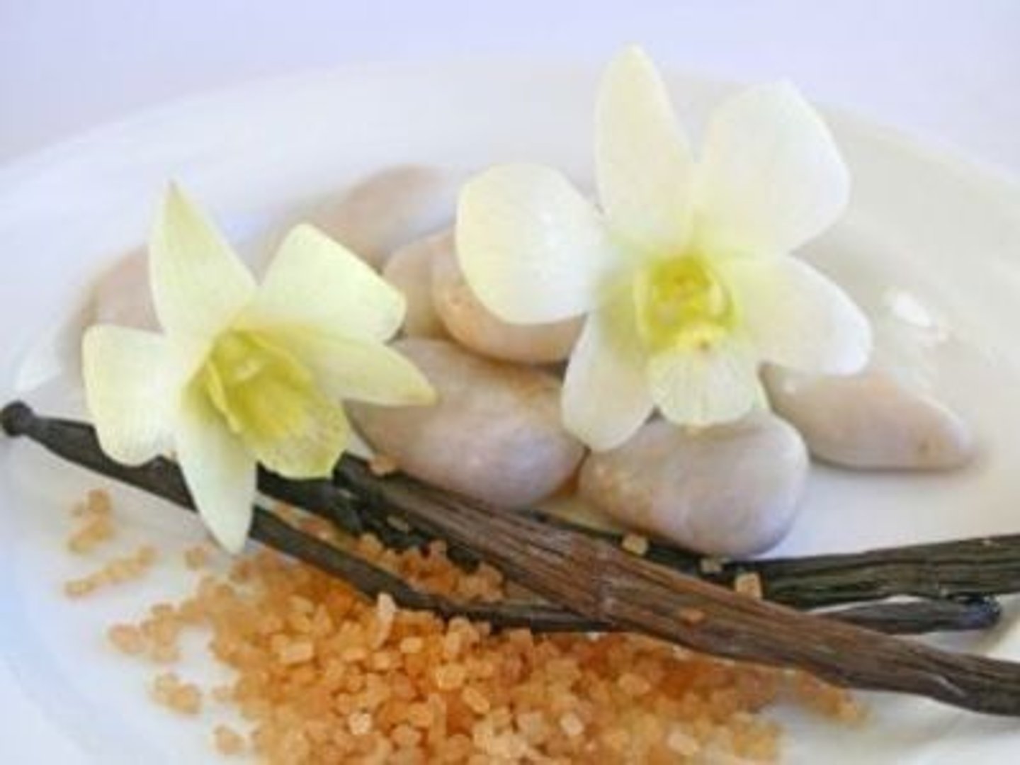 <p>vanilla</p>
