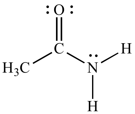 <p> </p>