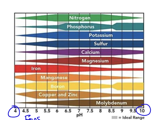 <p>as pH changes so does available nutrients</p><p>ideal zone is between 6-7 pH</p><p>often in agriculture they lime the soil to increase pH in acidic zones, increasing natural nutrient availability and boosting the effect of fertilizer</p>