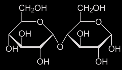 <p>which type of molecule is shown?</p>
