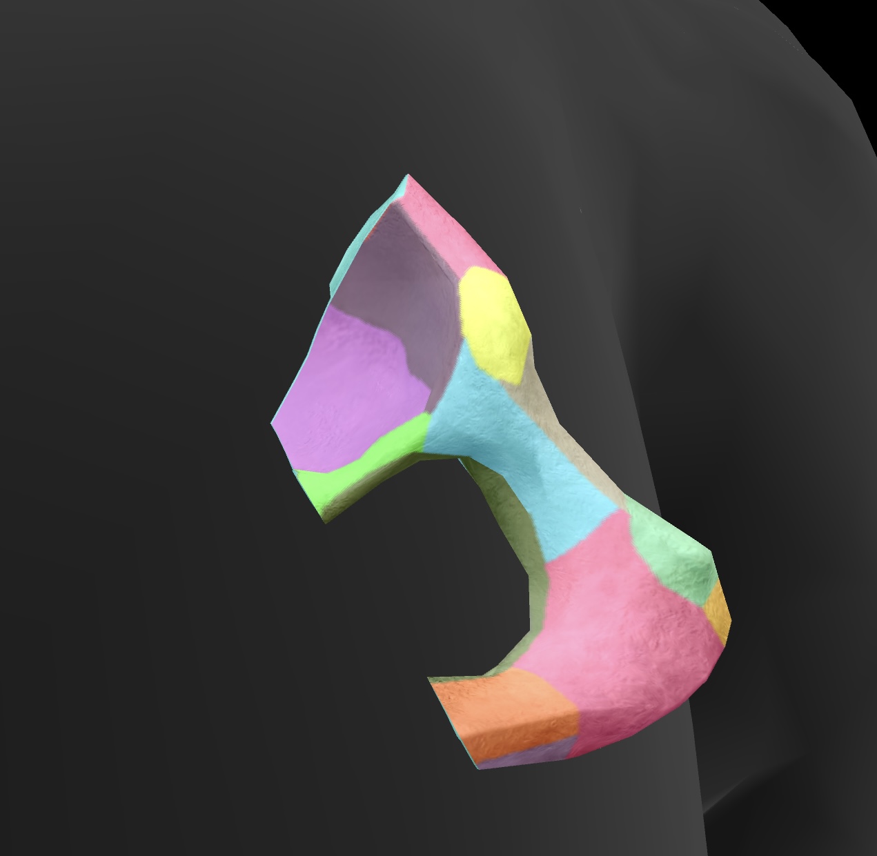 <p>a pair of bony extensions of the pubis that help form the pelvic arch and contribute to the acetabulum. </p>