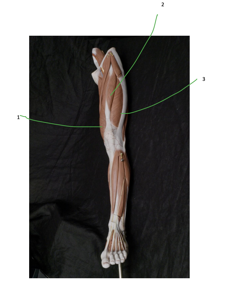 <p>1</p>