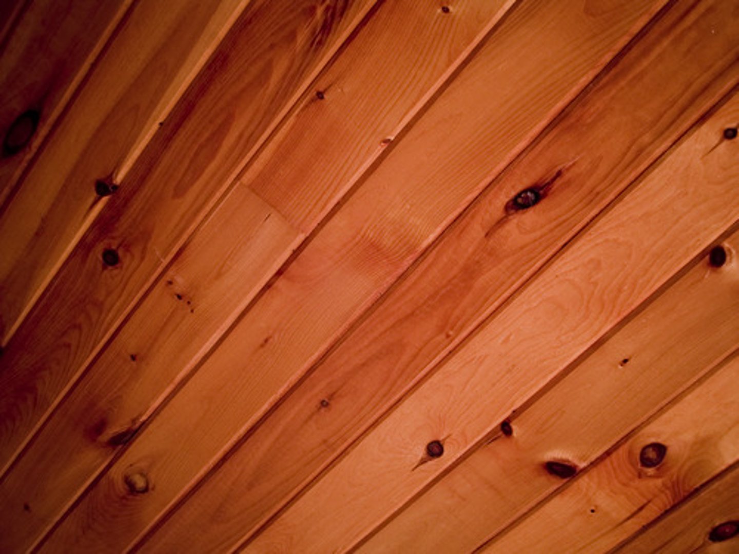 <p>of wood</p>