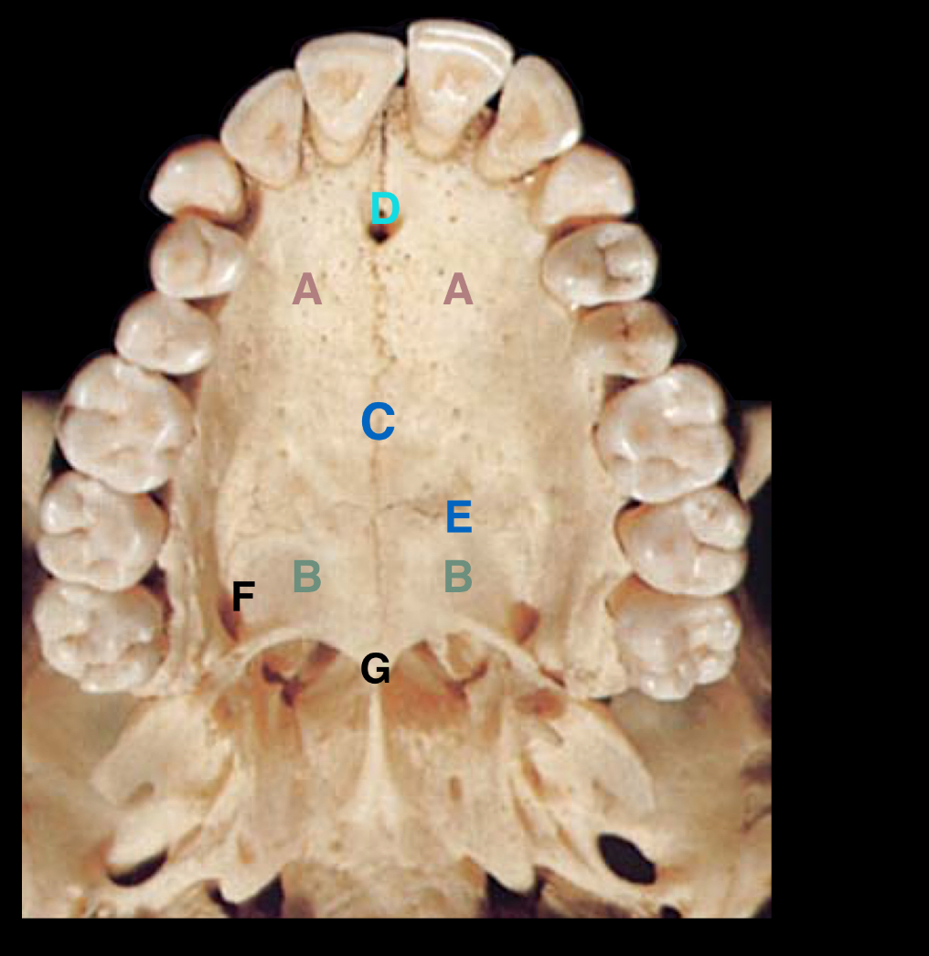 <p>Label the parts </p>