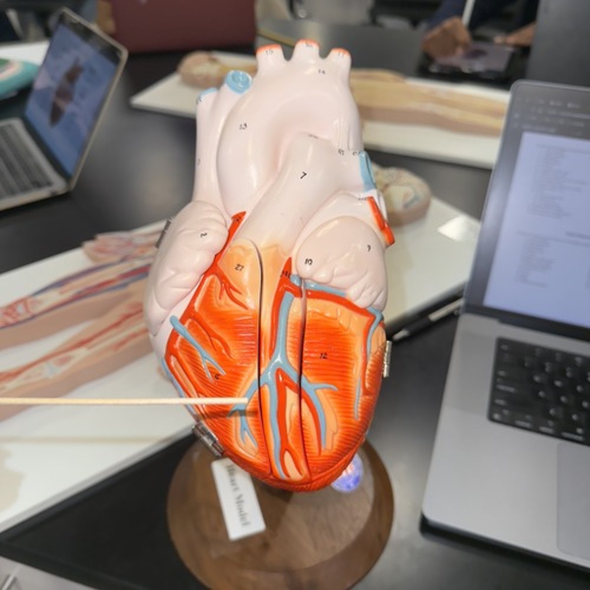 <p>Identify the region.</p>