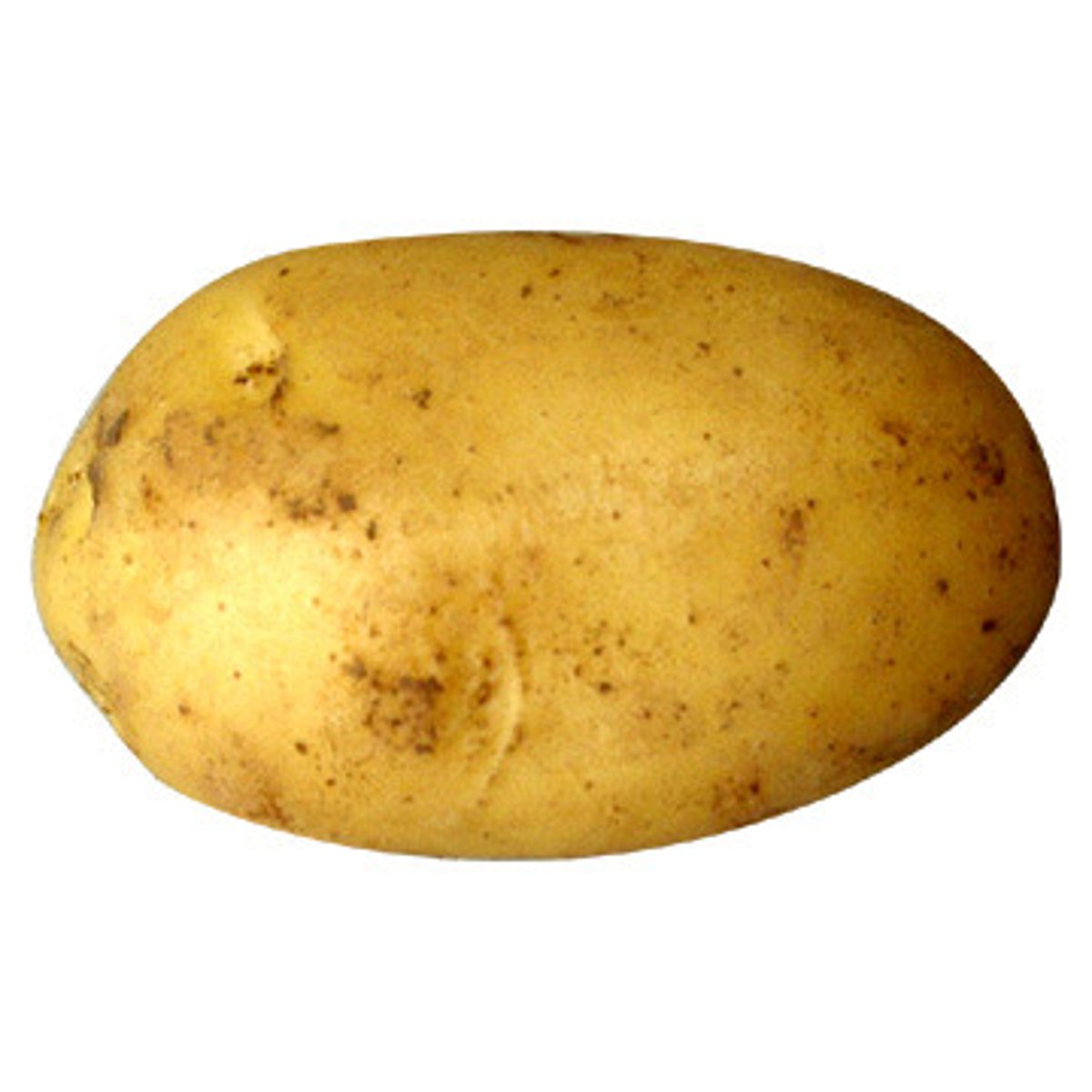 <p>potato</p>