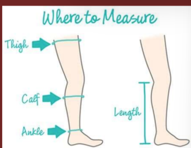 <ul><li><p>leg circumfrence</p></li></ul><p></p>