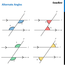 <p>kąty naprzemianległe</p>