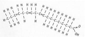 <p>What is the molecule</p>