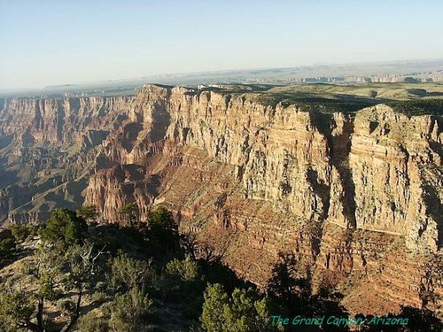 <p>The study of what the Earth is made of and how it was formed.A science that studies rocks, layers of soil, etc., in order to learn about the history of the Earth and its life. : the rocks, land, processes of land formation, etc.</p>