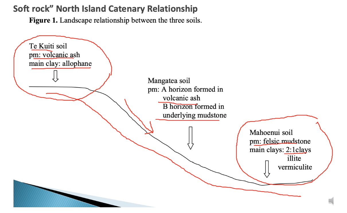 <p>soft rock NI Catenary relationship</p>