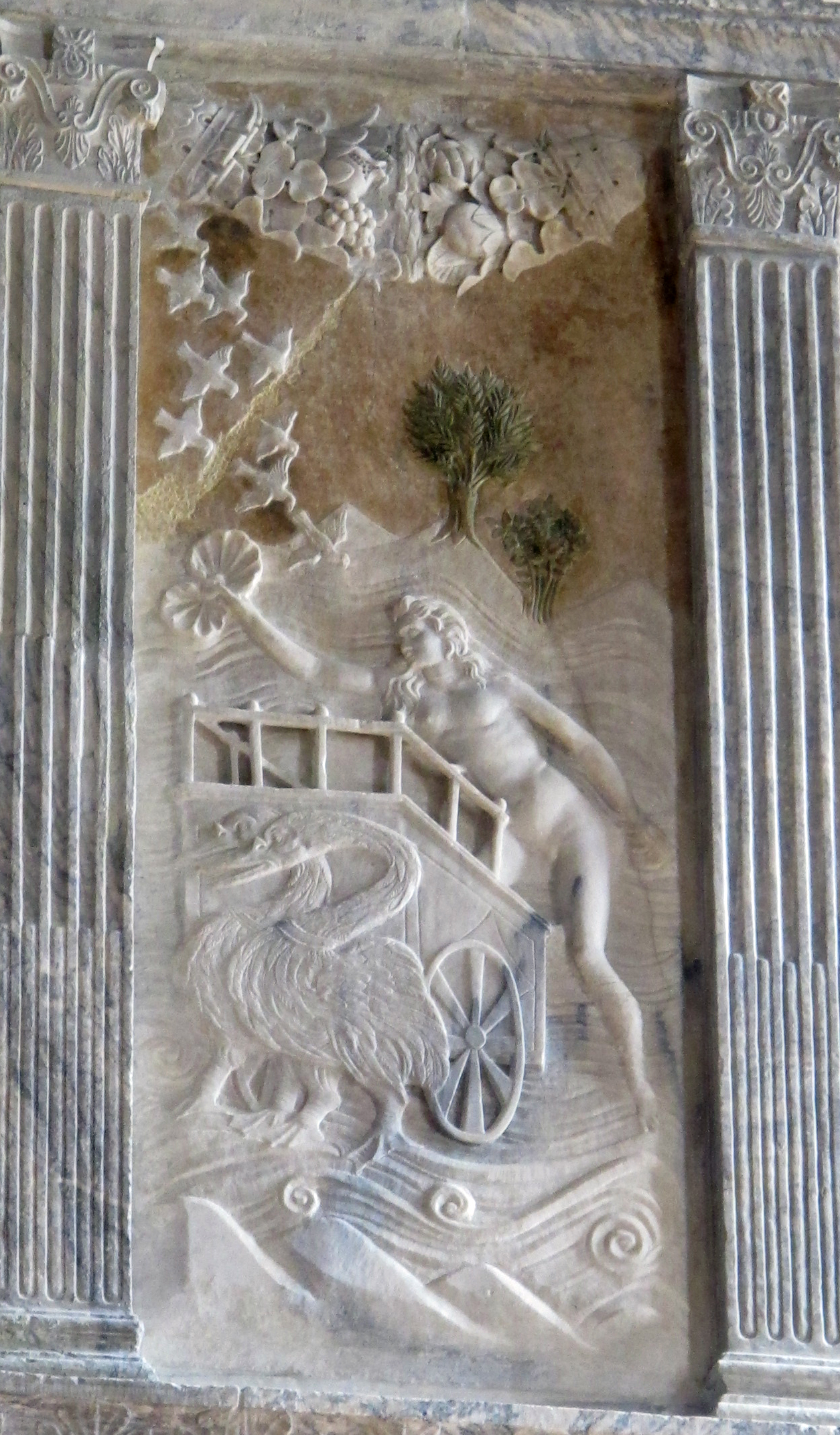 term image