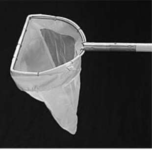 <ul><li><p>quantitative method</p></li><li><p>pelagic and submerged plant inverts (backswimmers, nymphs, water boatmen)</p></li><li><p>standardized sweep at multiple spots (certain depth or rotate certain distance)</p></li><li><p>accuracy depends on mesh size and skill, mesh size determines inverts retained </p></li></ul><p></p>