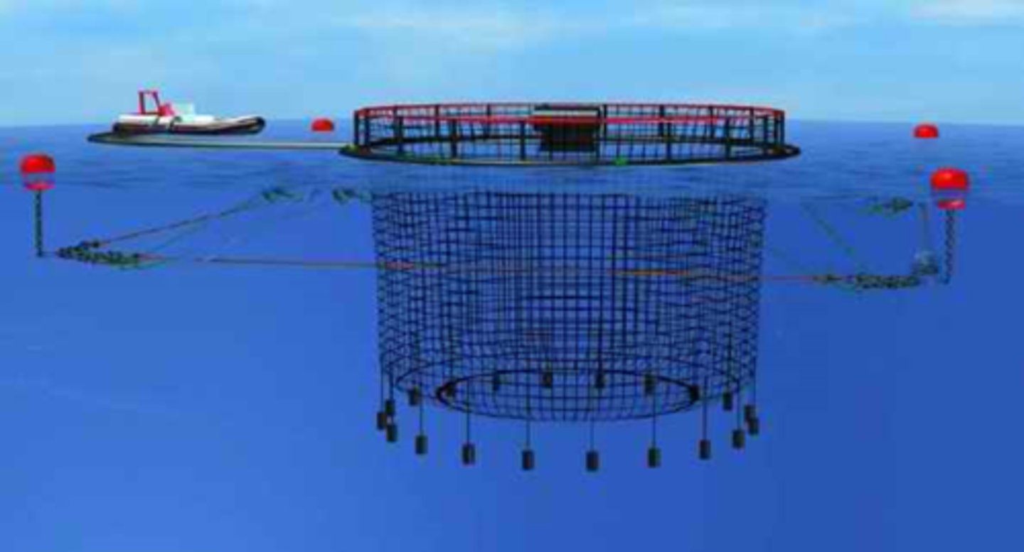 <p>- Circular or squared</p><p>- Variable sizes</p><p>- Soft or hard materials</p><p>fixed to sea bed below</p><p>majority of atlantic salmon</p>