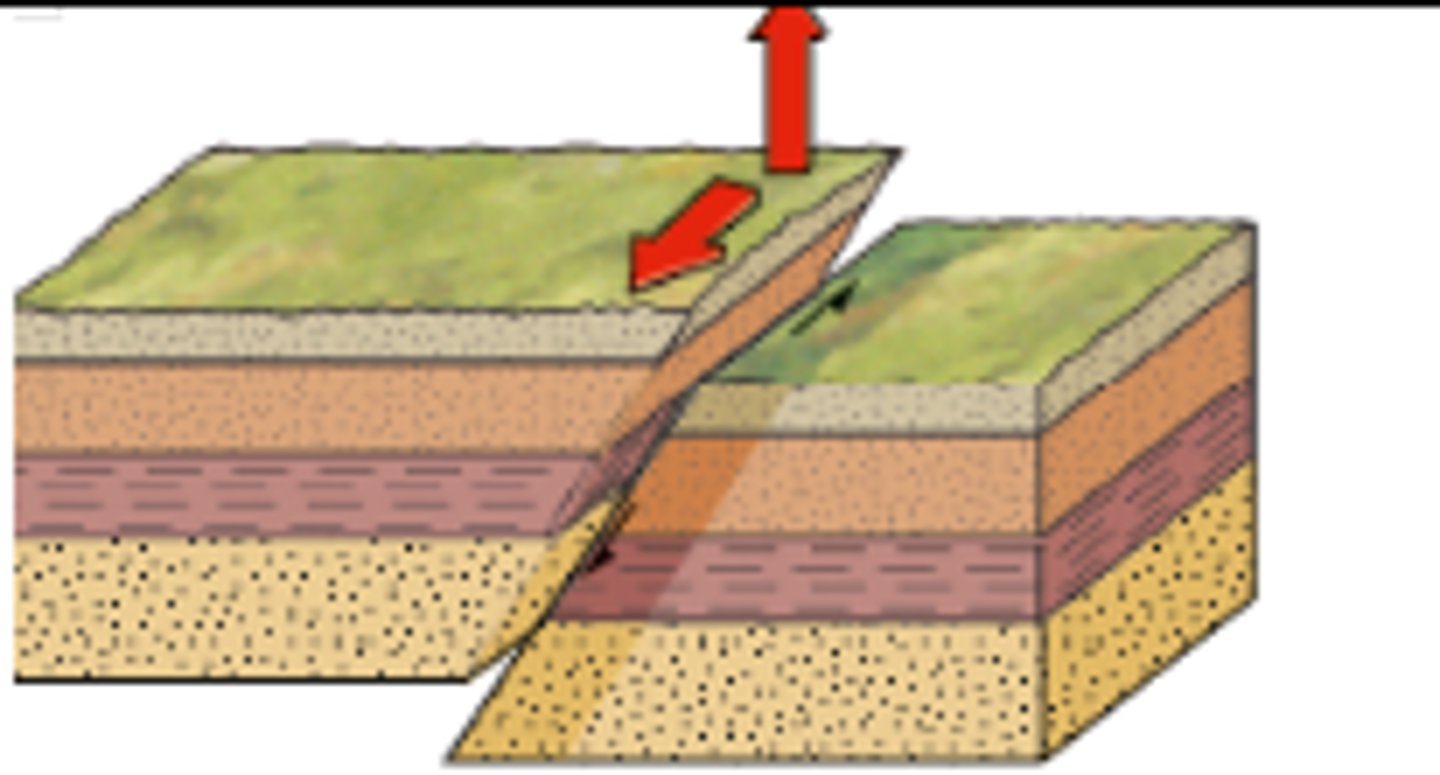 <p>Both vertical and horizontal movement</p>