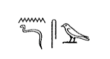 term image