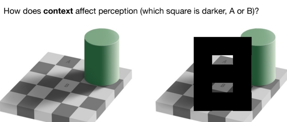 <p>How does context affect perception?</p>