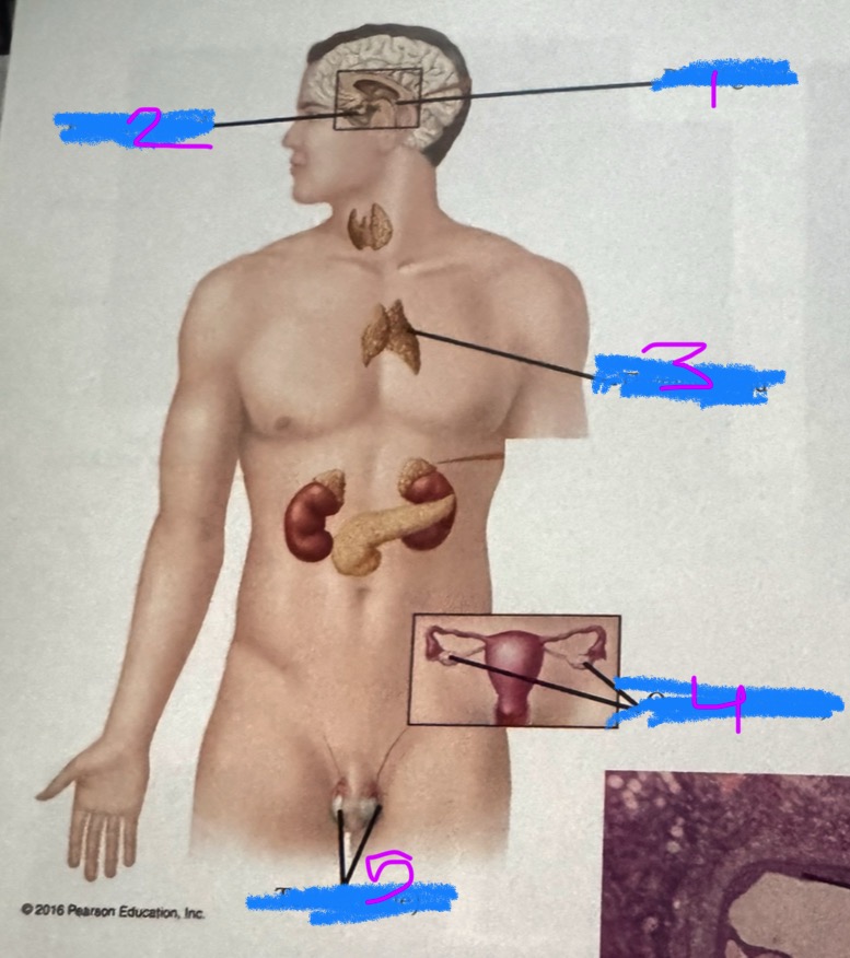 <p>1</p>