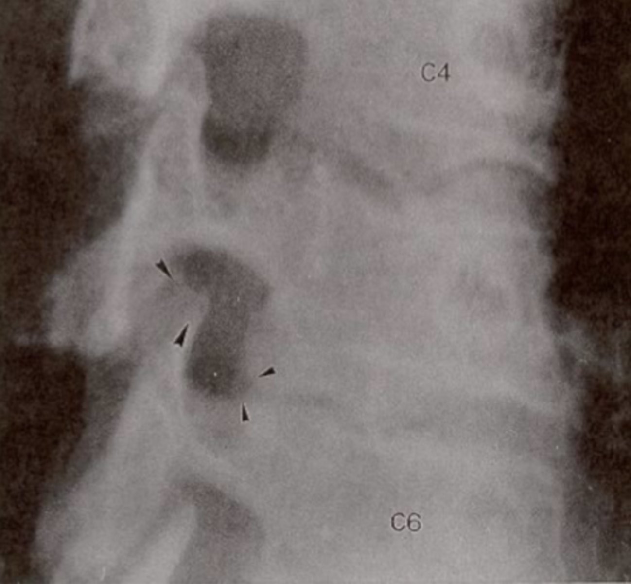 <p>What is the issue?</p>