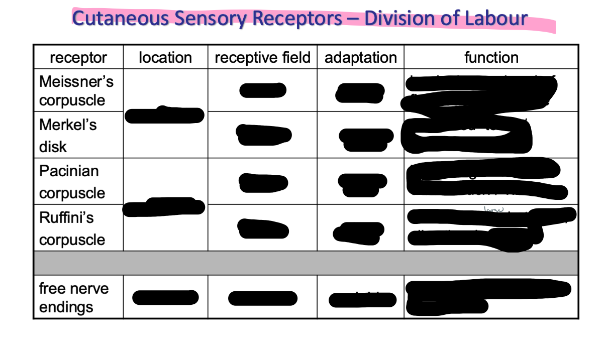 <p>fill out the following</p>