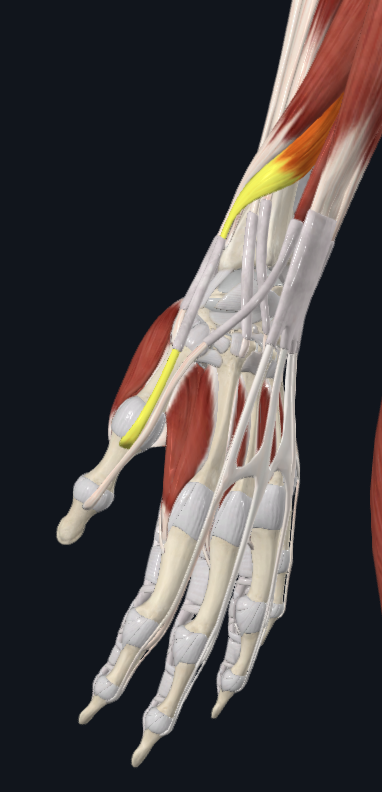 <p>What is highlighted</p>