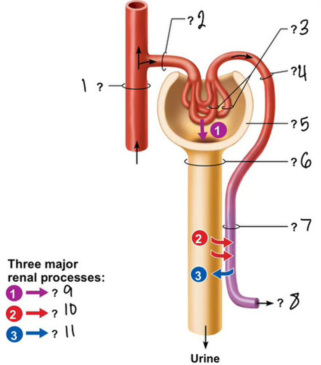 <p>5</p>