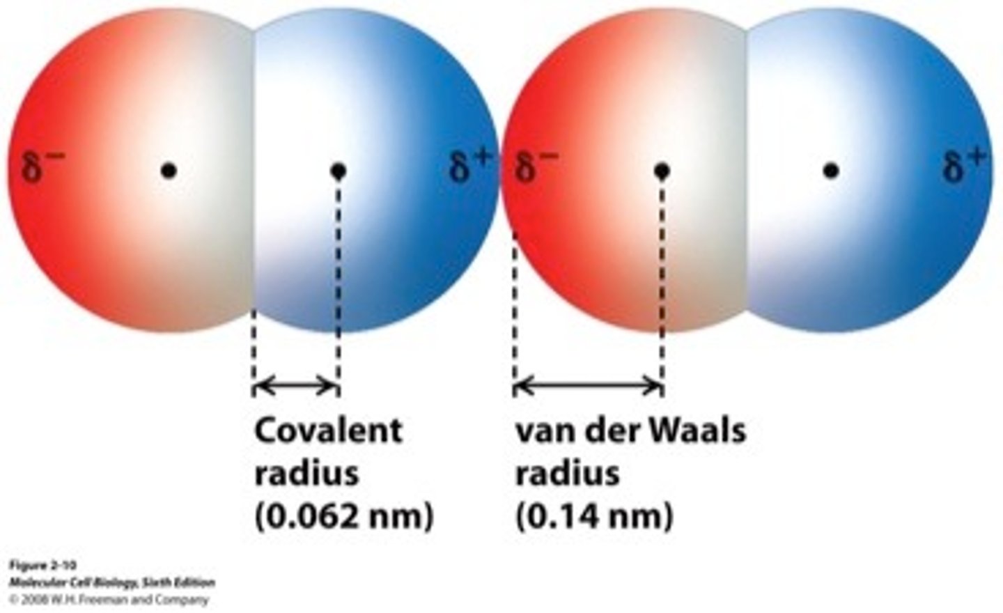 <p>weak attractions between molecules or parts of molecules that result from transient local partial charges</p>