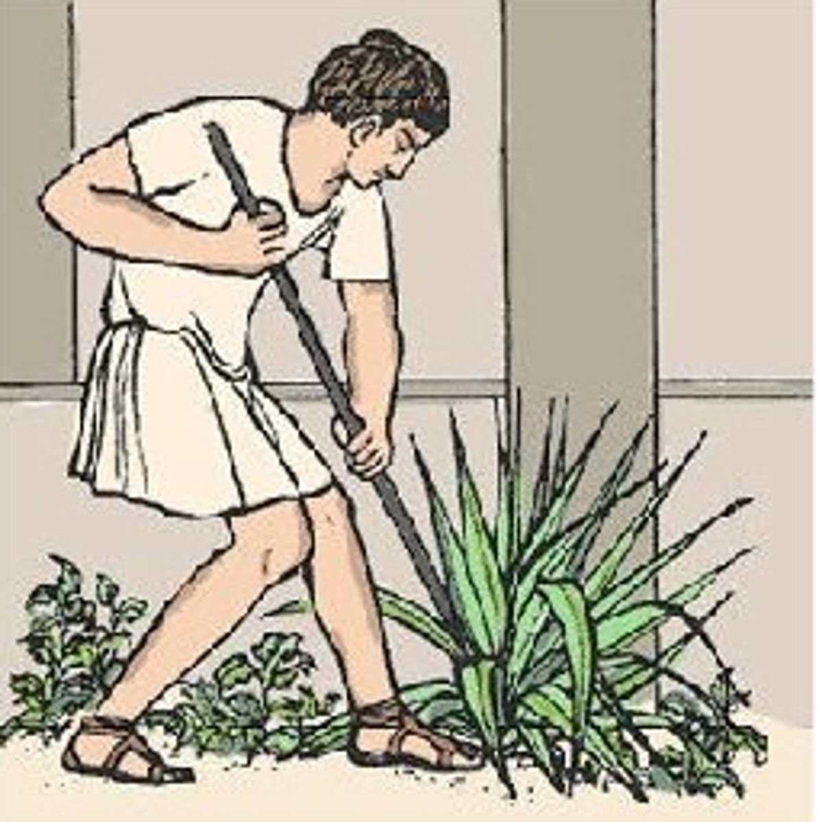 <p>in the garden</p>