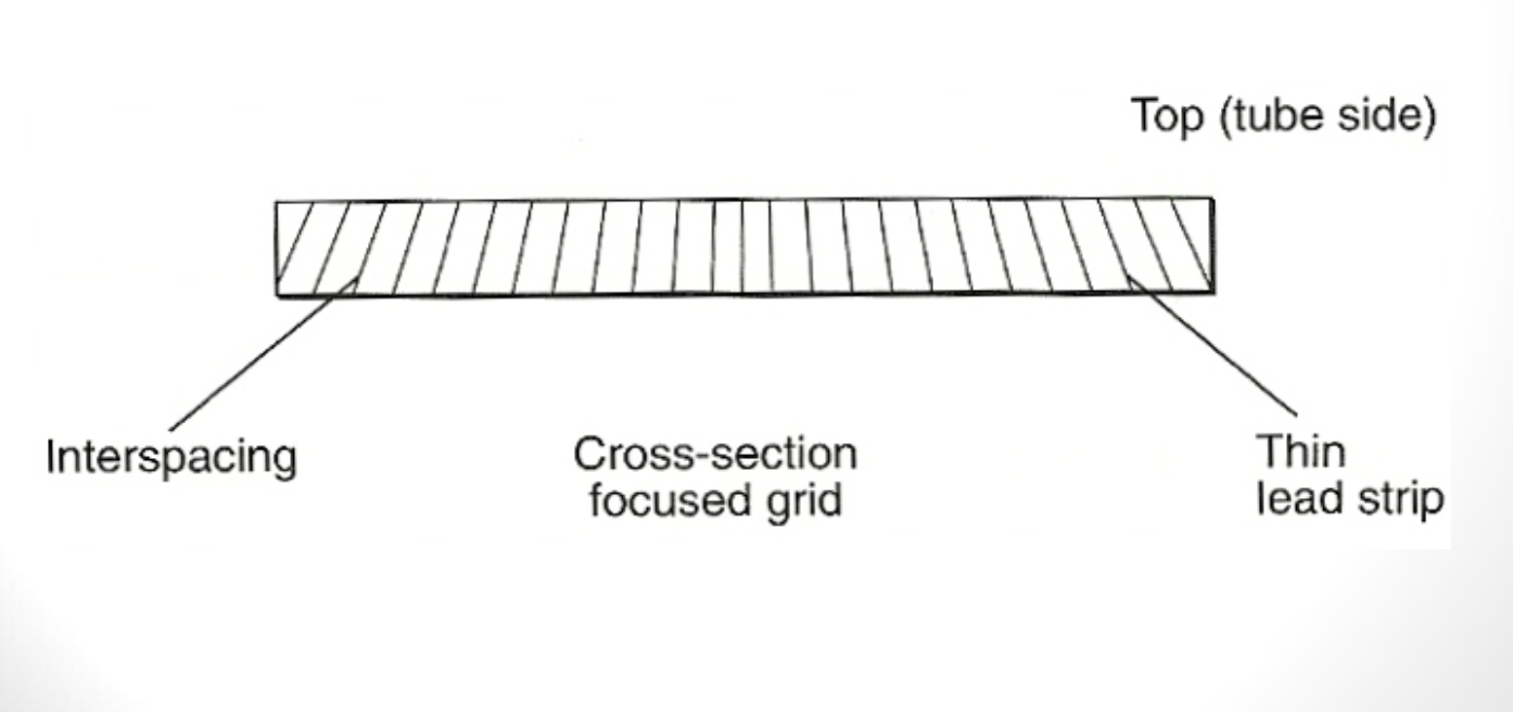 <p><strong>What is the area between the lead strips where radiolucent materials are located called?</strong></p>