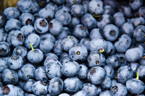 small, round-flat fruits that are blue on the outside, with a sort of "dusty" white film. They are typically small and have a recognizable top to them. These are sweet and tart fruits.