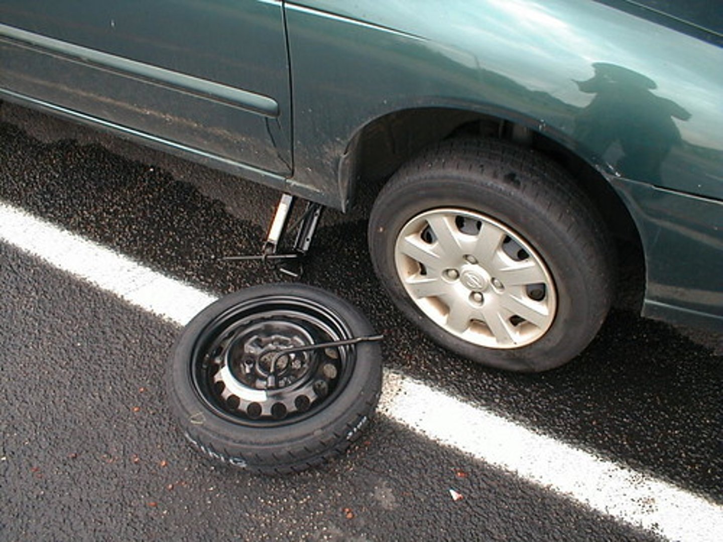 <p>wheel</p>
