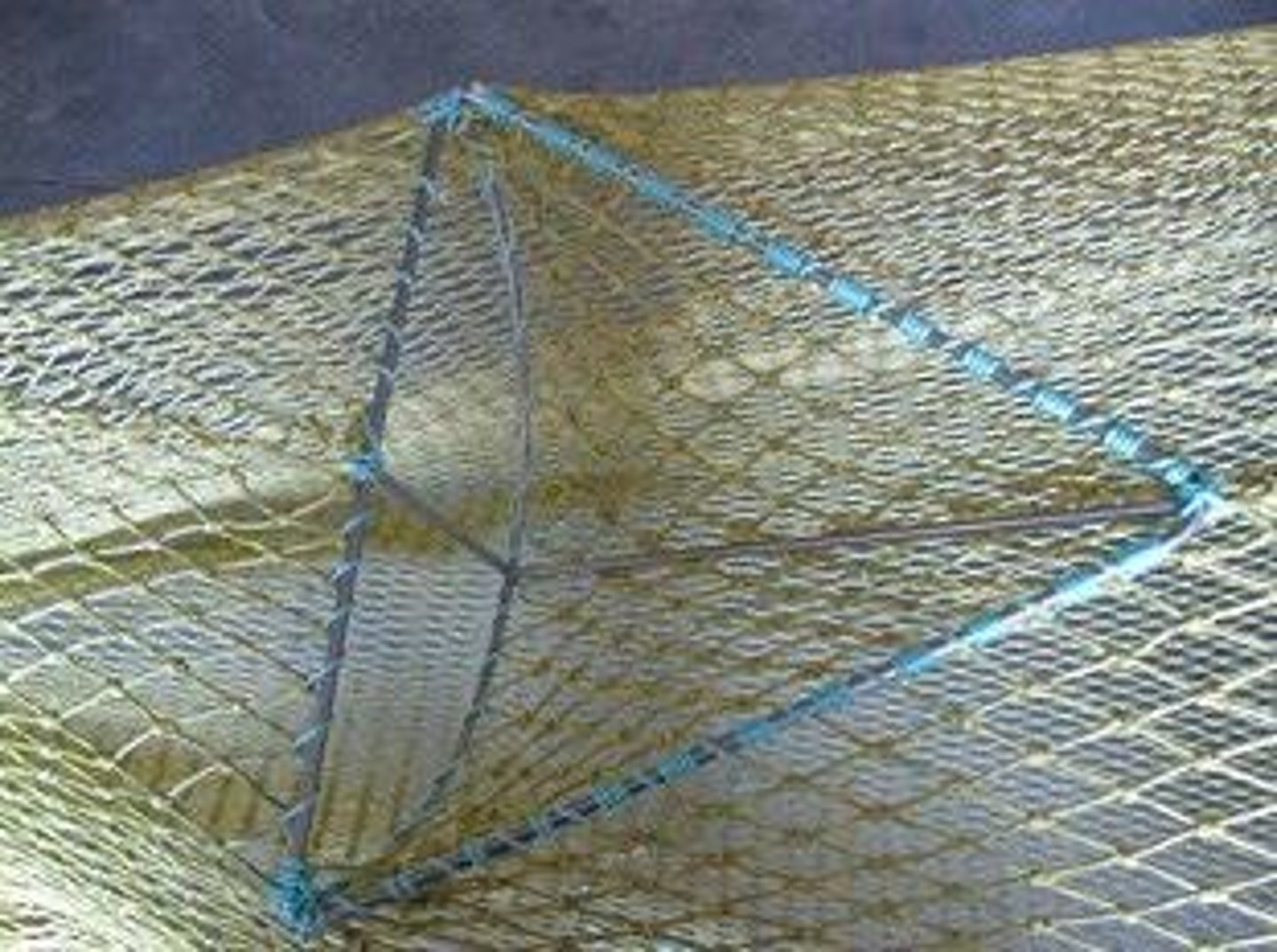 <p>a modification to fishing gear, like a shrimp trawl, designed to allow unwanted fish (bycatch) to escape while retaining the targeted catch (like shrimp)</p>