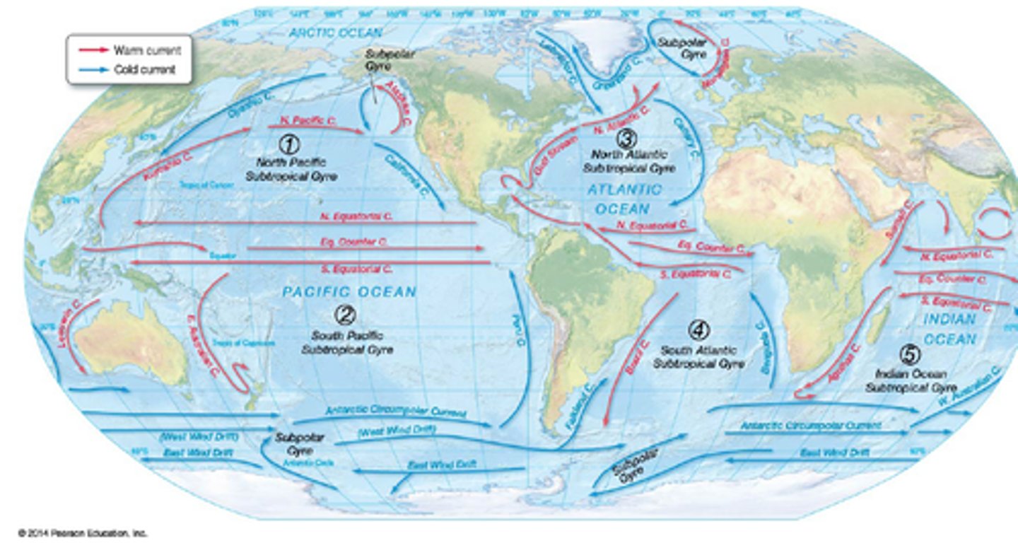 <p>a circular motion of water in each of the major ocean basins</p>