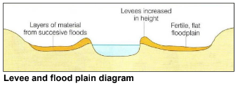 <ul><li><p>Levee - natural mound of material on the banks of a river. Form as river load material is deposited during flood OR man-made from concrete as a flood defence</p></li><li><p>Flood plain - Layers of deposited river load material build up. Larger material is deposited next to channel as river's energy is lost. Smaller is carried further</p></li><li><p>Estuary - river mouth affected by tides as it reaches sea. Lot of sediment deposited at the end of a river's journey, which is exposed at low tide</p></li></ul>