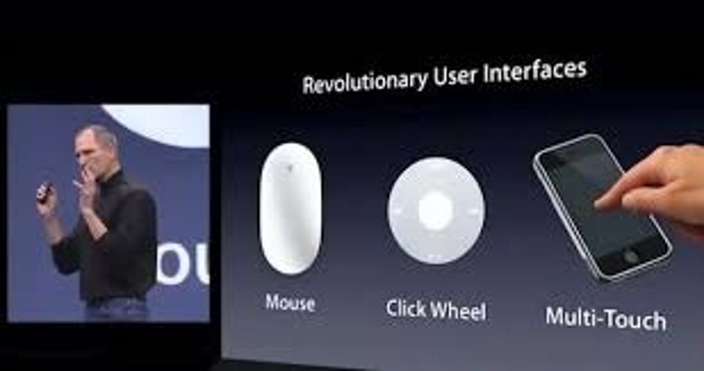 <p>revolutionary</p>