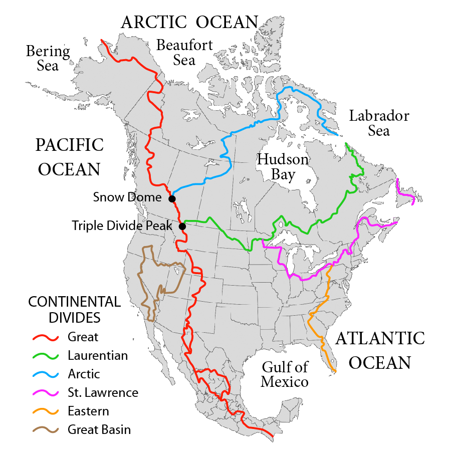<p>Determines where water in the water cycle will go to</p>