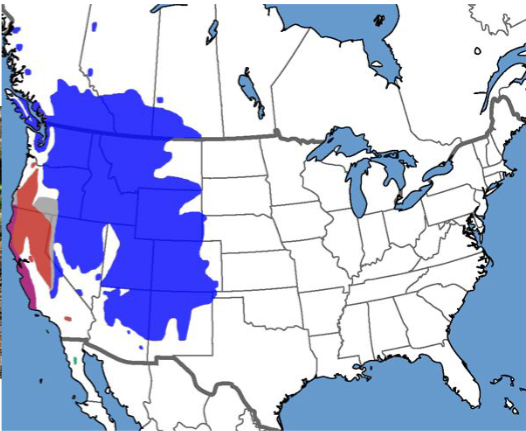 <p>Who’s range map?</p>