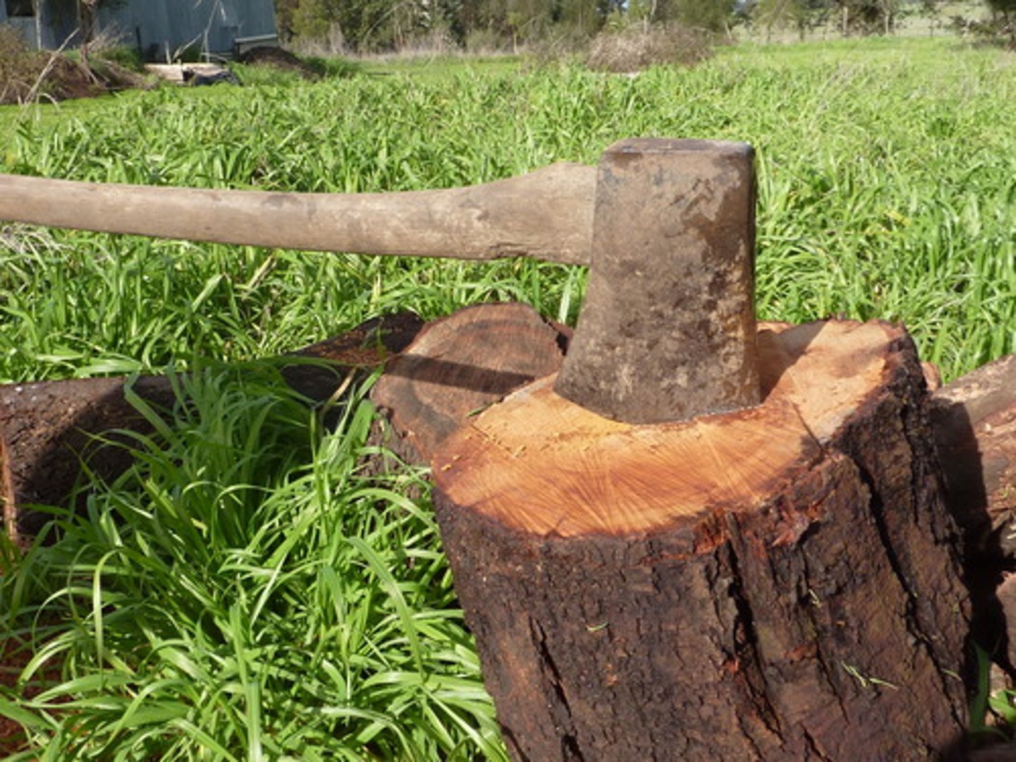 <p>string Odysseus' bow and shoot an arrow through 12 ax handles</p>