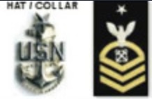 <p>1 Silver Star, Silver USN on a gold fouled anchor, Perched Eagle, 1 Rocker, Specialty Mark, 3 Chevrons</p>