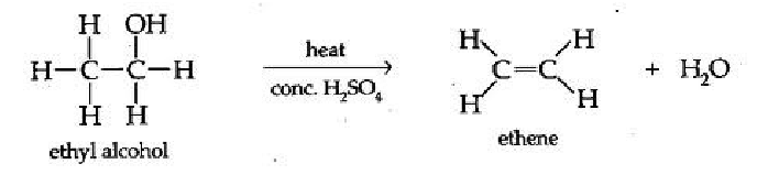 • Atoms are removed from an organic molecule \\n and a double bond forms between the carbons from which atoms were removed 

• Single bond → double bond

• Reactant saturated 

• One reactant → two products