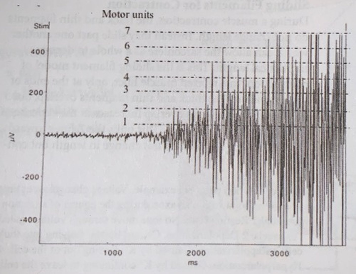 <p>recall the size principle that smaller motors are always recruited first</p>