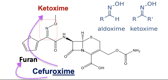 <p>Furan and Ketoxime </p>