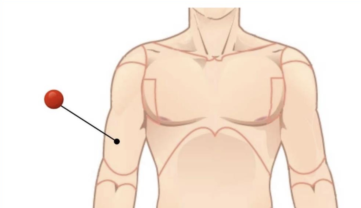<p>Arm (arrow points to bicep section usually)</p>