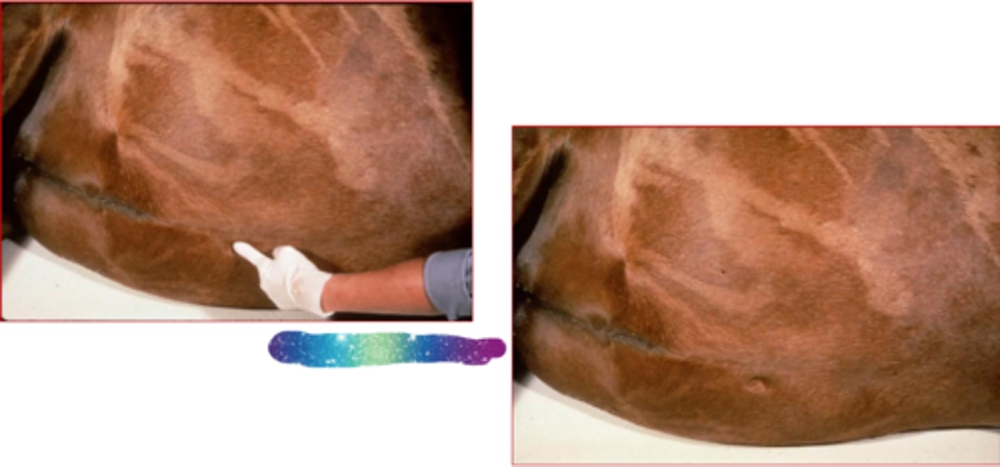 <p>Whats going on here?</p>