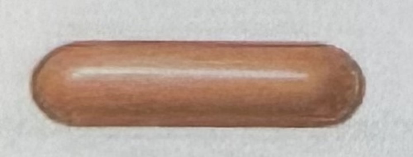 <p>Which bacterial group is this?</p>