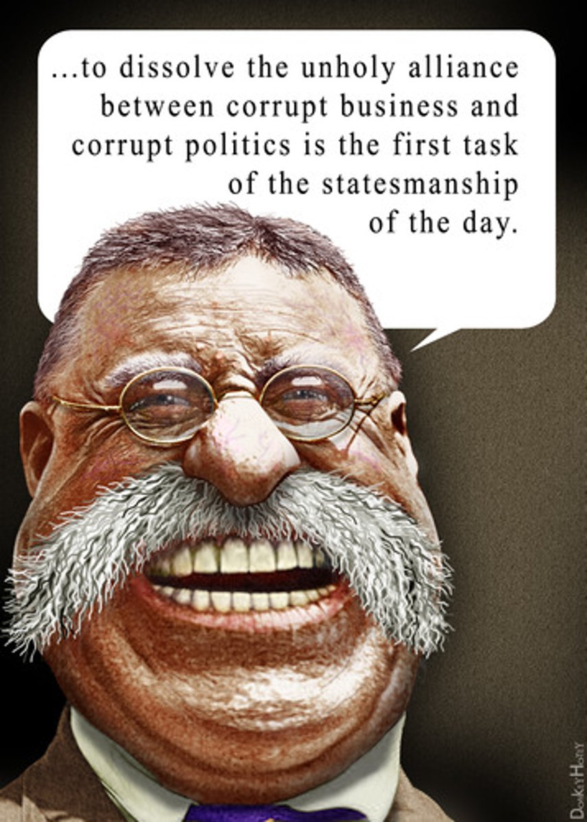 <p>26th President of the United States, 26th president, known for: conservationism, trust-busting, Hepburn Act, safe food regulations, "Square Deal," Panama Canal</p>