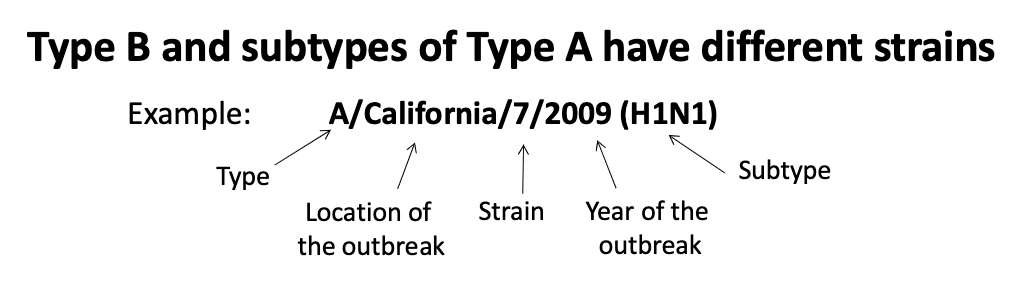 <p>type, location of outbreak, strain, year of outbreak, subtype</p>